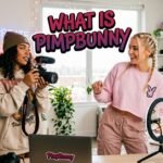 What Is PimpBunny